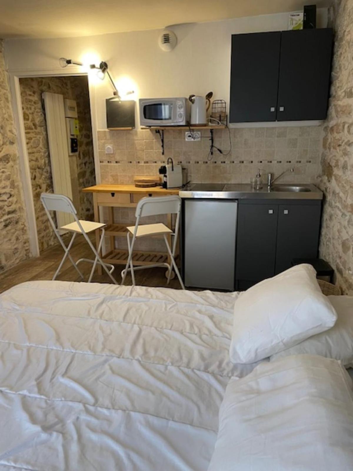 Studio With Exposed Stone Vieux Lyon Ліон Екстер'єр фото