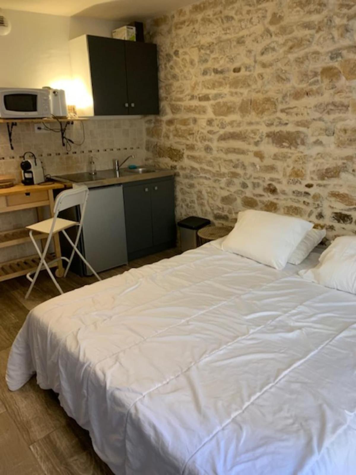 Studio With Exposed Stone Vieux Lyon Ліон Екстер'єр фото
